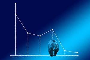 bear-market-4159033_640.jpg